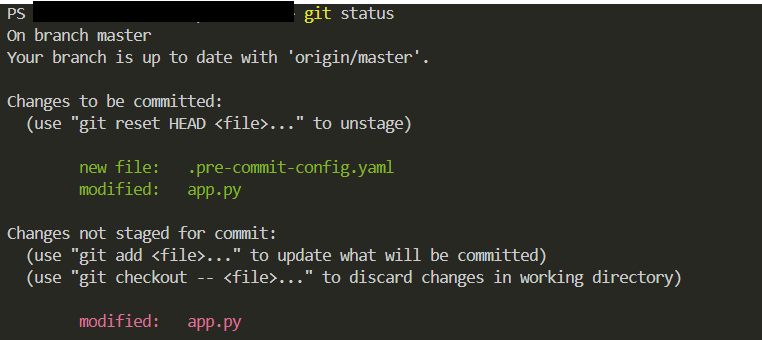Pre Commit Issue